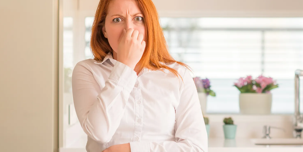 remove the bad smell from home