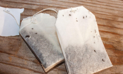 How to Choose the Right Reusable Tea bags?