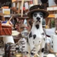 The Best Places To Find Antiques In San Francisco