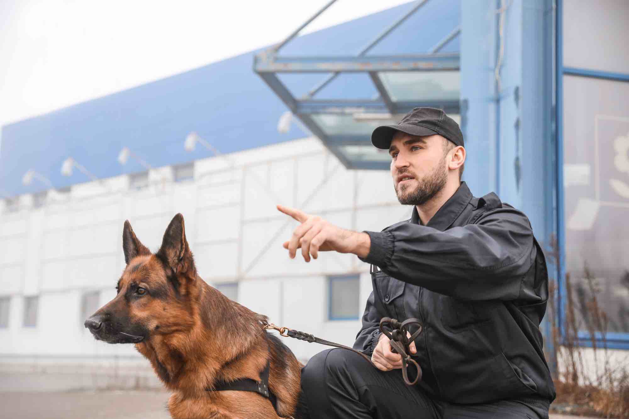 Security Dog Handlers London