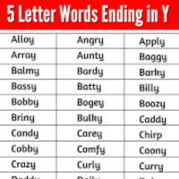 5 letter words that end with y